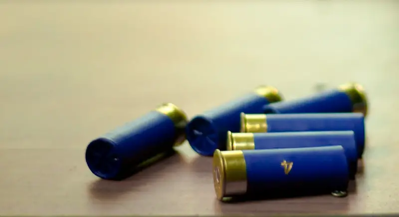 Shotgun Shells