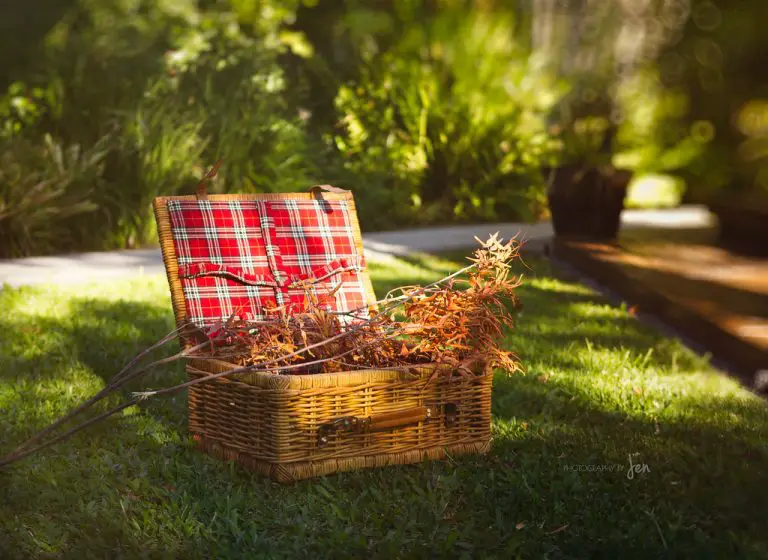 How to Dispose of Tree Branches 8 Effective Ways