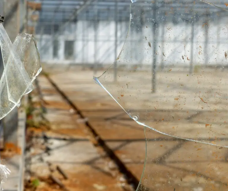 How To Dispose of Broken Glass Avoiding Hazards