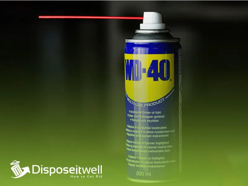 How to Get Rid of Carpenter Bees WD40