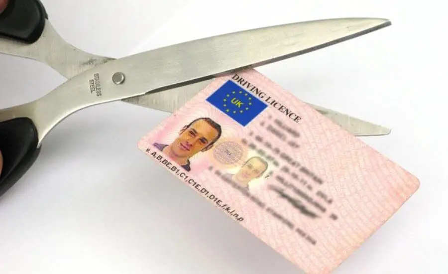 what to do with old driver's license