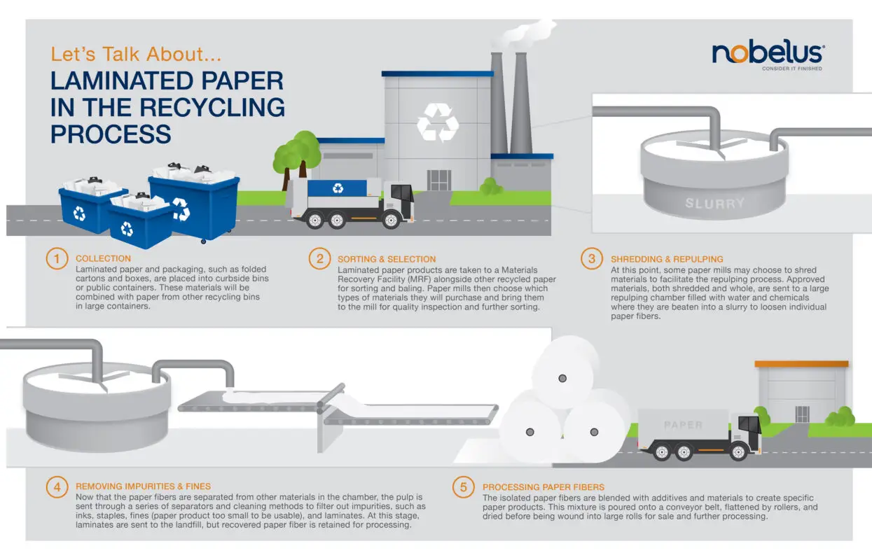 Can you recycle laminated paper? 5 Best way to dispose of it