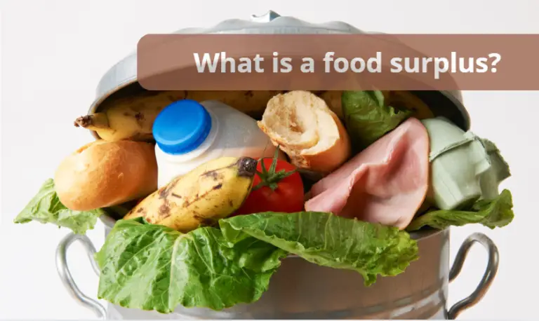 What is a food surplus?