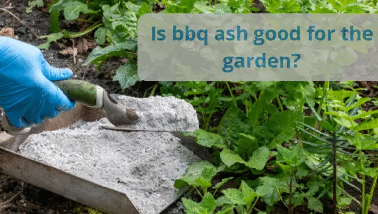 Is bbq ash good for the garden?