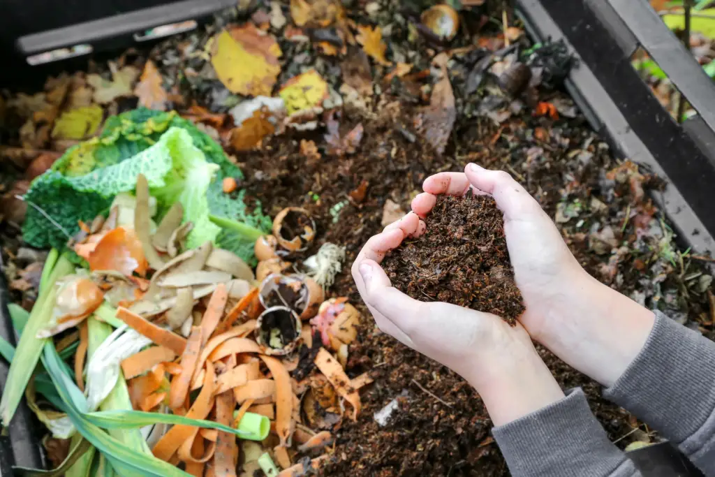 How to start a compost pile at home?