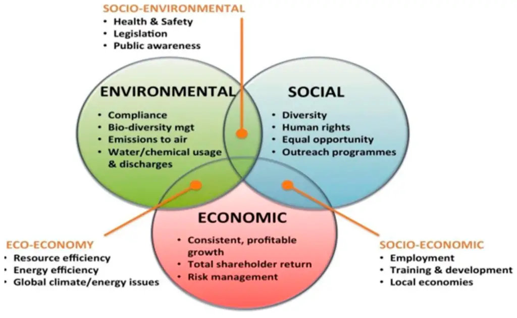 How Your Financial Choices Impact the Environment?