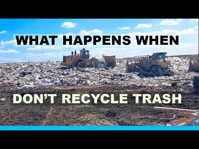 What Happens After You Recycle?